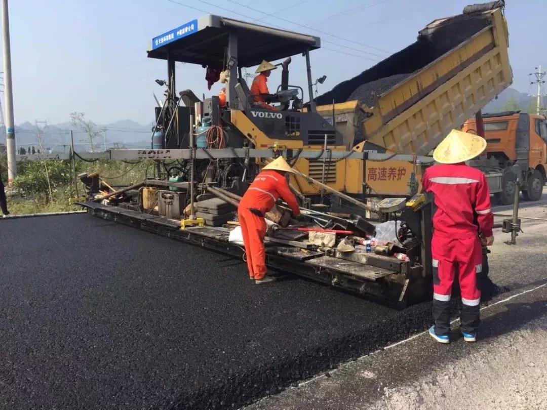 蓮都區麗龍高速公路南山互通至麗新公路建設工程（南山至高溪段）